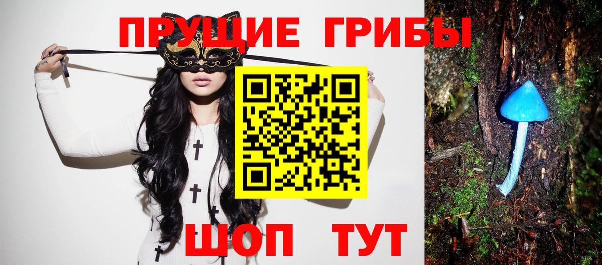 Галлюциногенные грибы Psilocybe  Псилоцибиновые грибы GOLDEN TEACHER  Вход с VPN  Алексин 