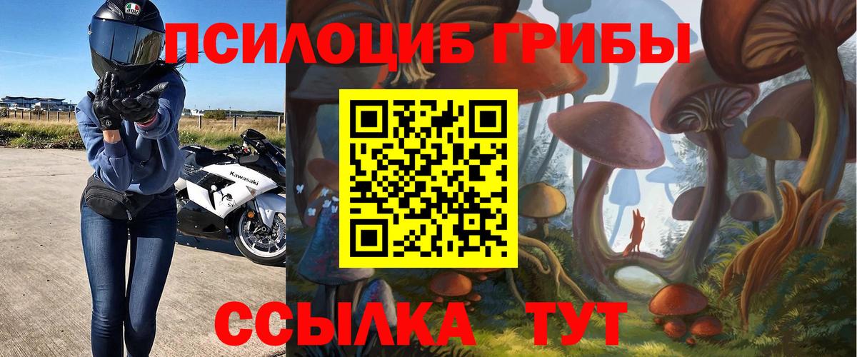 Галлюциногенные грибы GOLDEN TEACHER Алексин